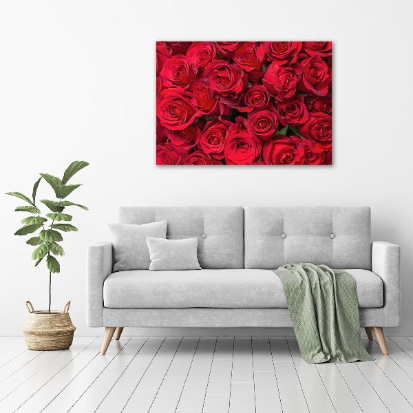 Foto canvas Rode rozen