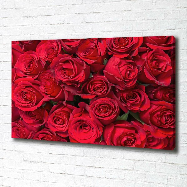 Foto canvas Rode rozen