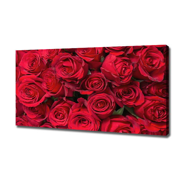 Foto canvas Rode rozen