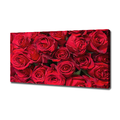 Foto canvas Rode rozen