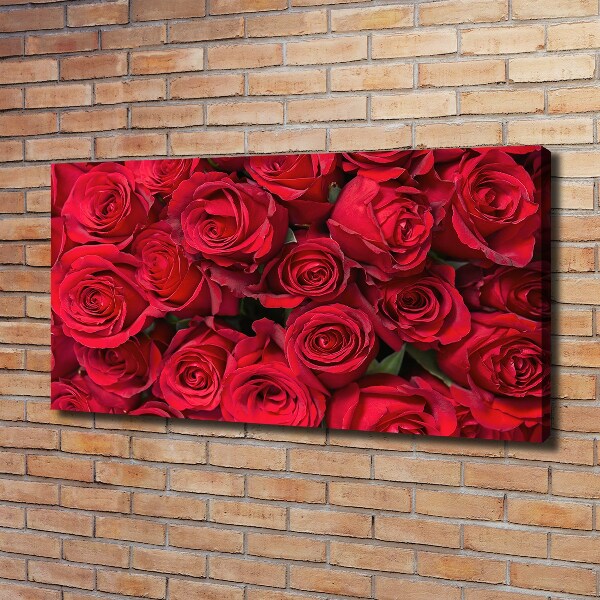 Foto canvas Rode rozen