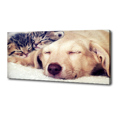 Schilderij op canvas Puppy's en katten