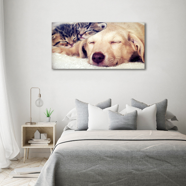 Schilderij op canvas Puppy's en katten
