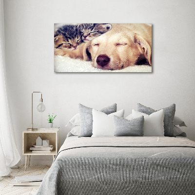 Schilderij op canvas Puppy's en katten