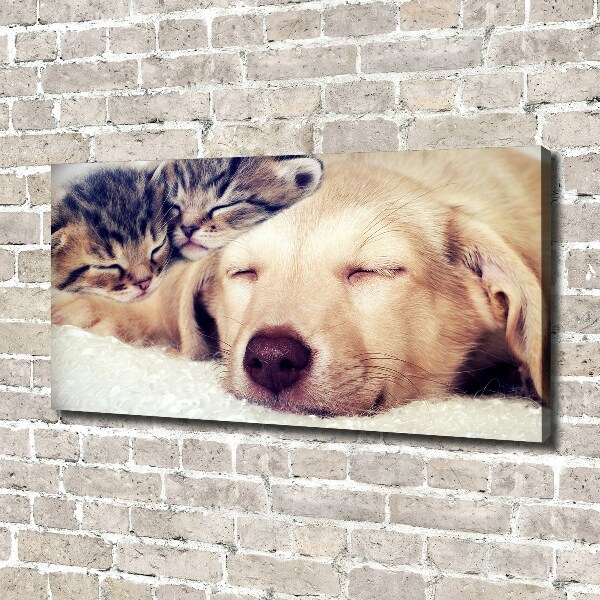 Schilderij op canvas Puppy's en katten