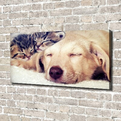 Schilderij op canvas Puppy's en katten