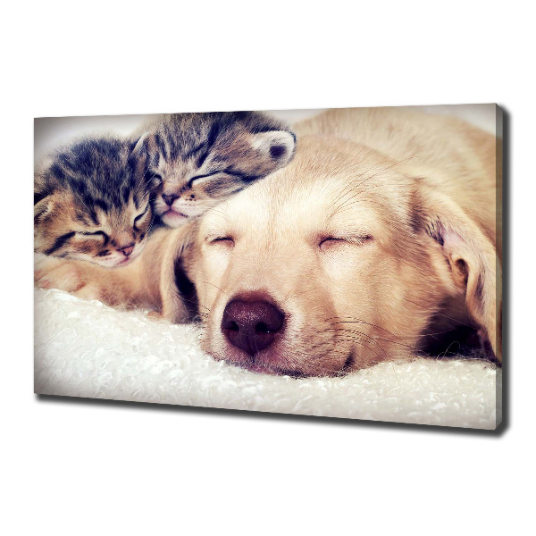 Schilderij op canvas Puppy's en katten