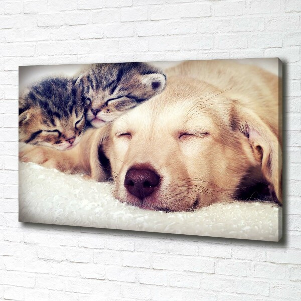 Schilderij op canvas Puppy's en katten