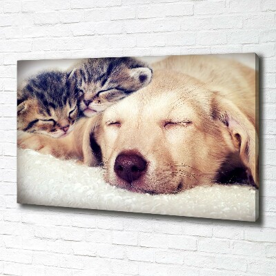 Schilderij op canvas Puppy's en katten