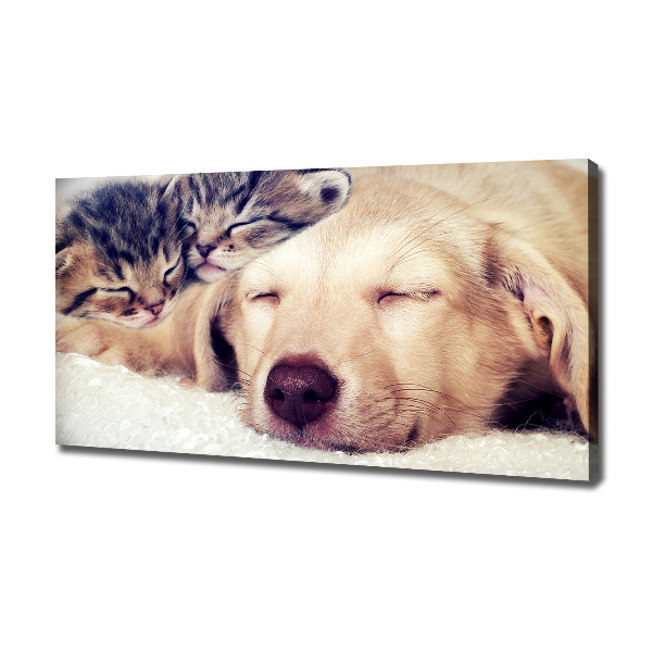 Schilderij op canvas Puppy's en katten
