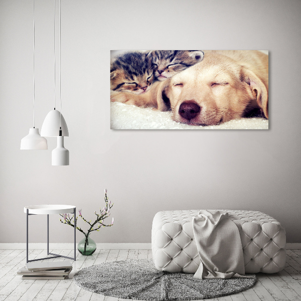 Schilderij op canvas Puppy's en katten