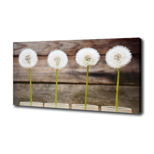 Foto op canvas Paardenbloemen