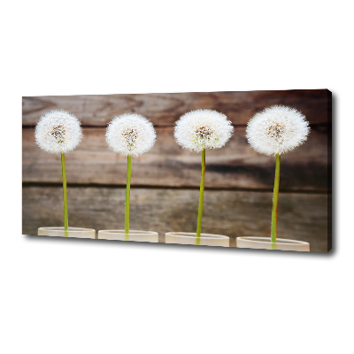 Foto op canvas Paardenbloemen