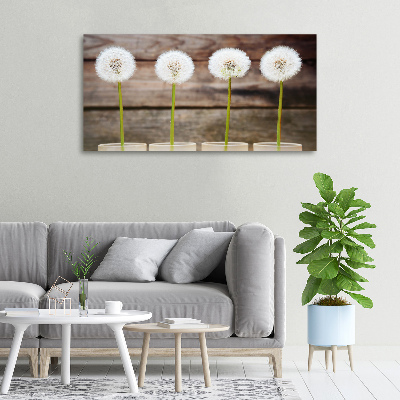 Foto op canvas Paardenbloemen