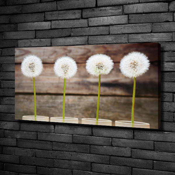 Foto op canvas Paardenbloemen