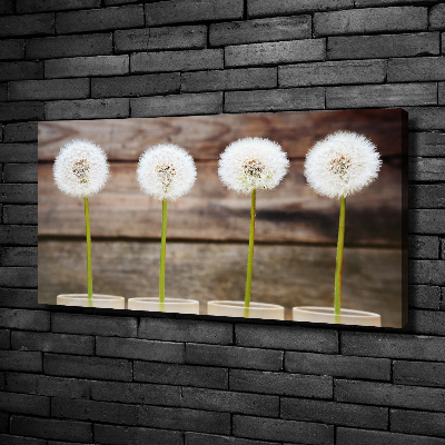 Foto op canvas Paardenbloemen