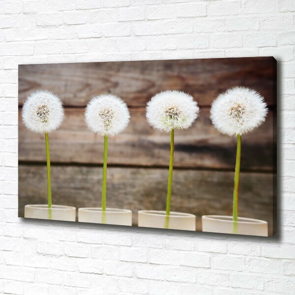 Foto op canvas Paardenbloemen