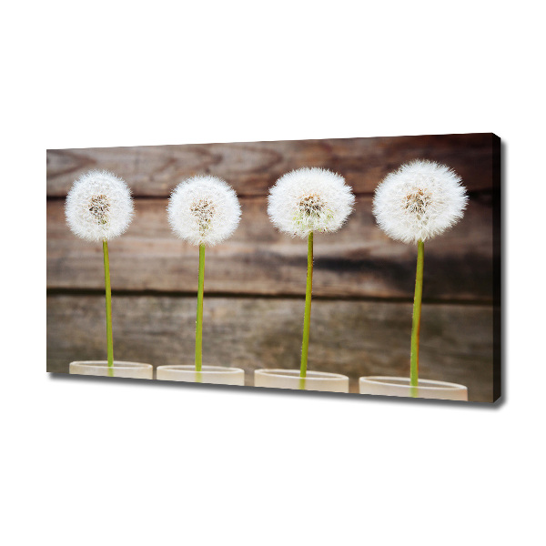 Foto op canvas Paardenbloemen