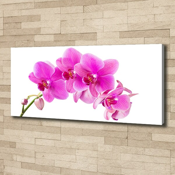 Canvas foto Roze orchidee