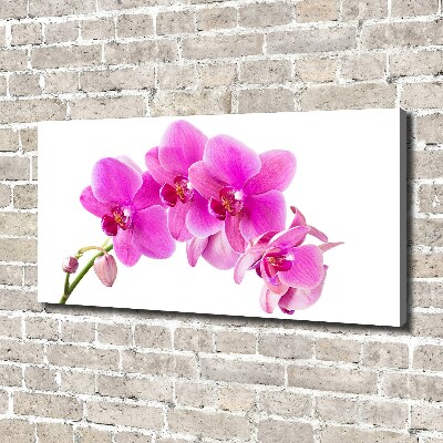 Canvas foto Roze orchidee