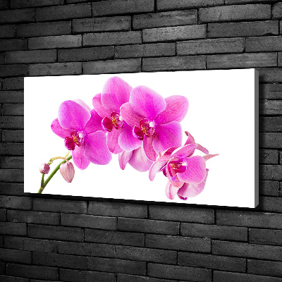 Canvas foto Roze orchidee