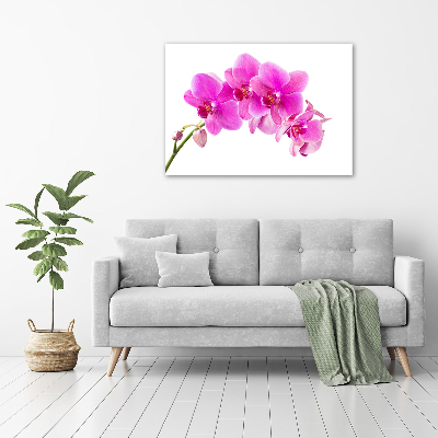 Canvas foto Roze orchidee