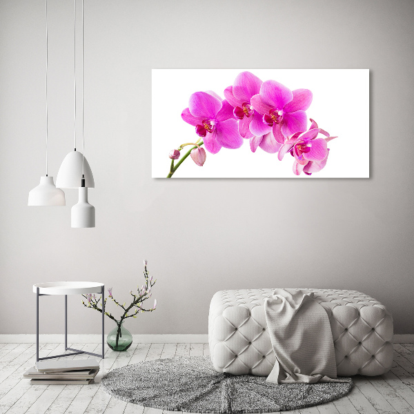 Canvas foto Roze orchidee