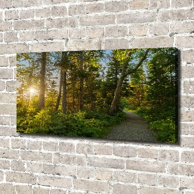 Canvas schilderij Woud