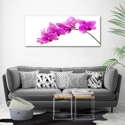 Schilderij op canvas Roze orchidee