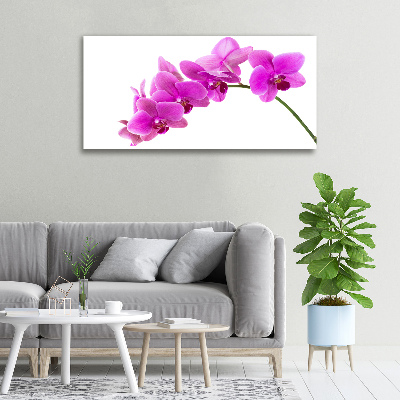 Schilderij op canvas Roze orchidee