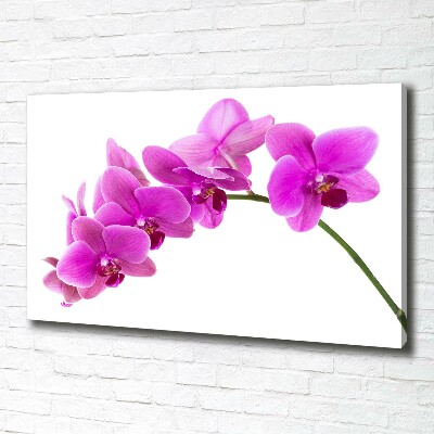 Schilderij op canvas Roze orchidee