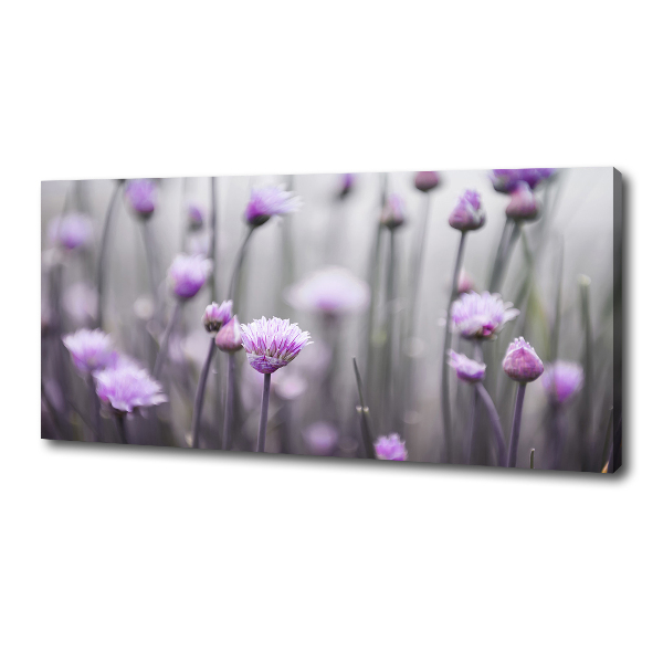 Foto canvas Bieslookbloemen