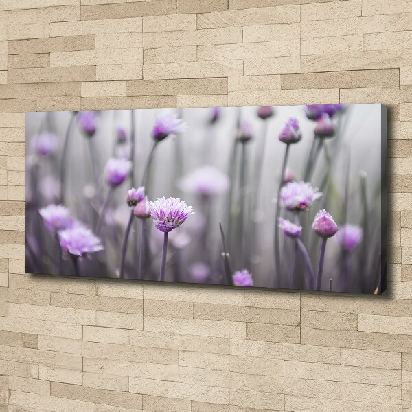 Foto canvas Bieslookbloemen