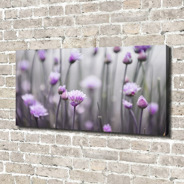 Foto canvas Bieslookbloemen
