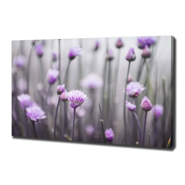 Foto canvas Bieslookbloemen