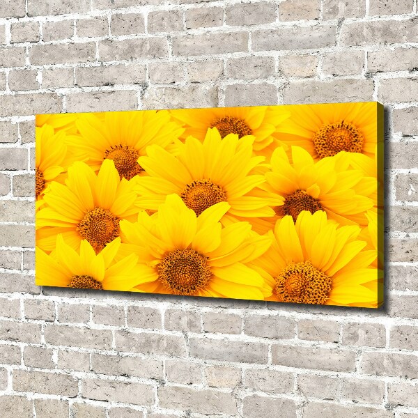 Foto op canvas Zonnebloemen