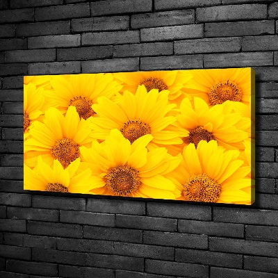 Foto op canvas Zonnebloemen
