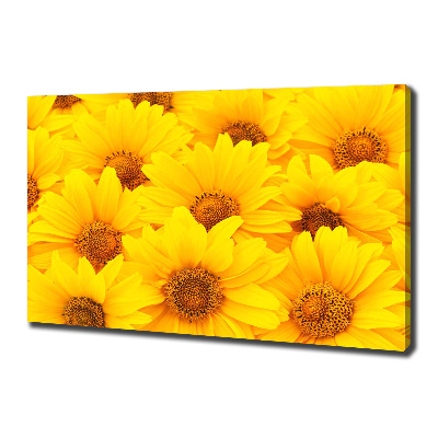Foto op canvas Zonnebloemen