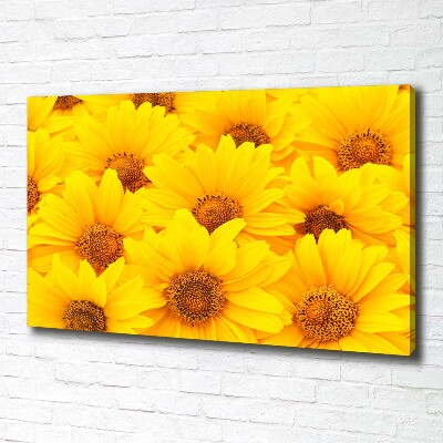 Foto op canvas Zonnebloemen