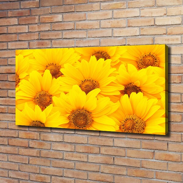 Foto op canvas Zonnebloemen