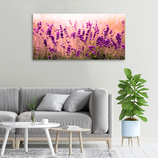 Canvas foto Lavendel