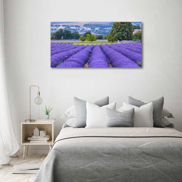 Canvas foto Lavendelveld