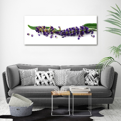 Canvas schilderij Lavendel