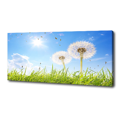 Foto canvas Paardenbloemen