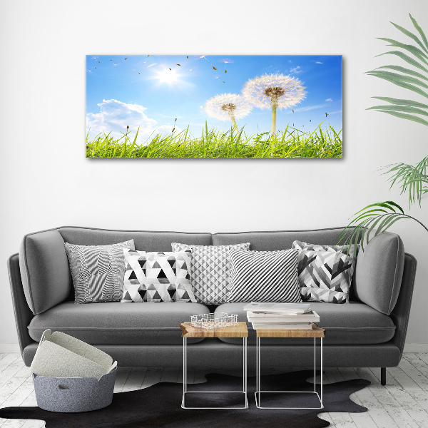 Foto canvas Paardenbloemen