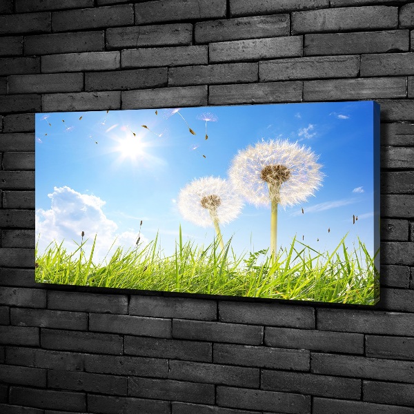 Foto canvas Paardenbloemen