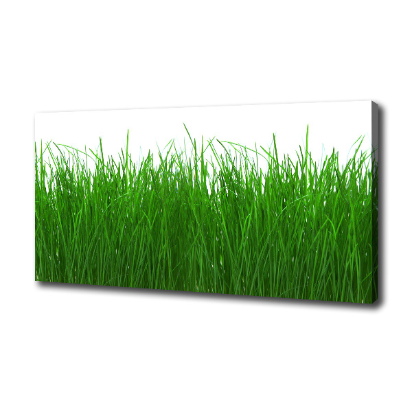Foto op canvas Gras