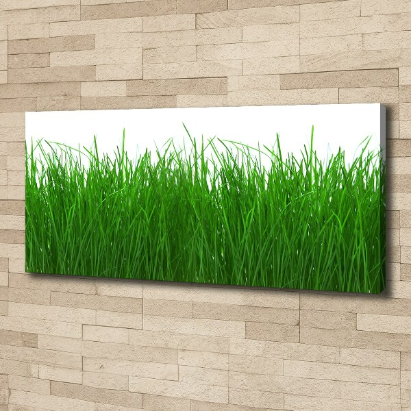 Foto op canvas Gras