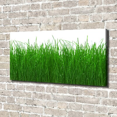 Foto op canvas Gras