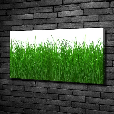 Foto op canvas Gras